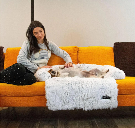 Cushion Pet Rest Sofa